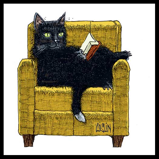 Black Cat